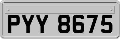 PYY8675