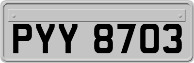 PYY8703