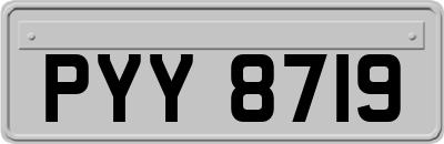 PYY8719