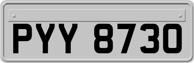 PYY8730