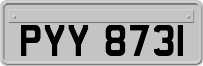 PYY8731