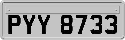 PYY8733