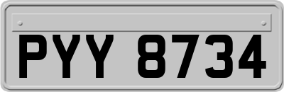 PYY8734