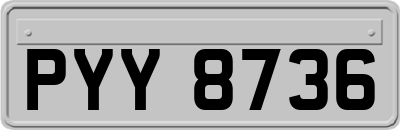 PYY8736