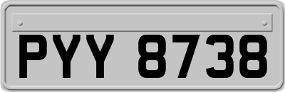 PYY8738