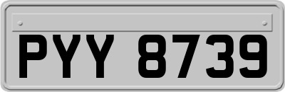 PYY8739