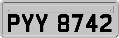 PYY8742