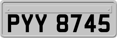 PYY8745
