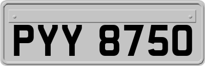 PYY8750