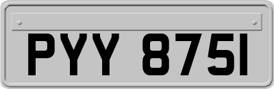 PYY8751