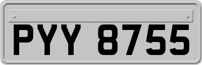 PYY8755