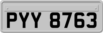PYY8763