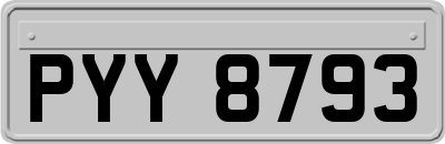 PYY8793