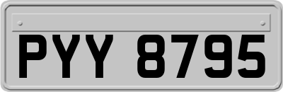 PYY8795