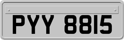 PYY8815