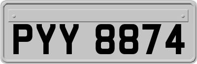 PYY8874
