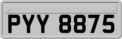 PYY8875