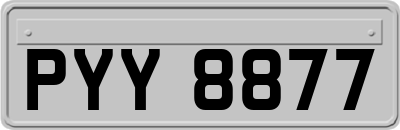 PYY8877