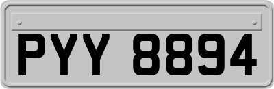 PYY8894