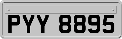 PYY8895