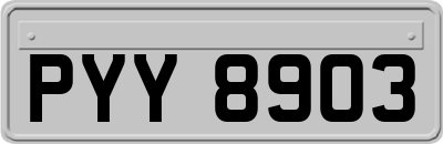 PYY8903