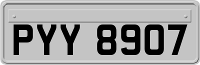 PYY8907
