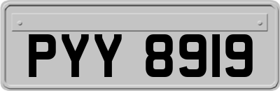 PYY8919