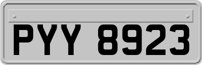 PYY8923