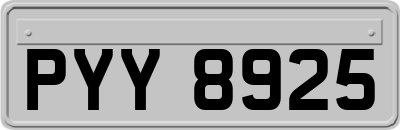 PYY8925