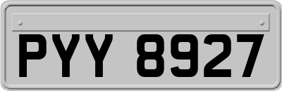 PYY8927