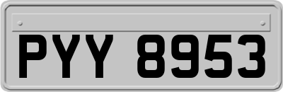 PYY8953