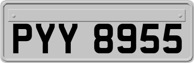 PYY8955