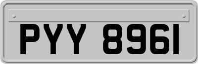 PYY8961