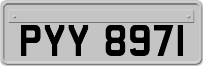 PYY8971