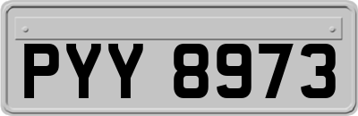 PYY8973