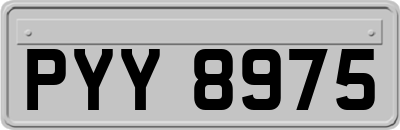 PYY8975