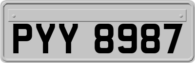 PYY8987