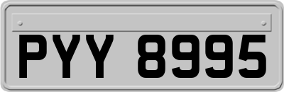PYY8995