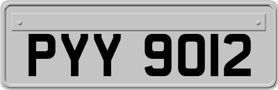 PYY9012
