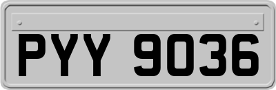 PYY9036