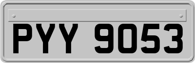 PYY9053