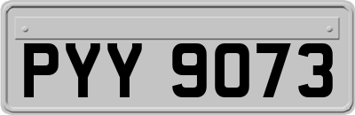 PYY9073