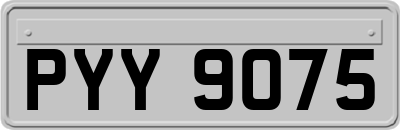 PYY9075