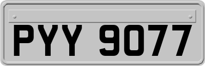 PYY9077