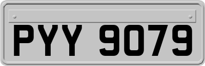 PYY9079