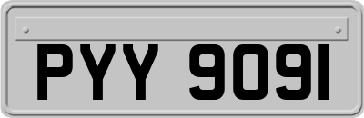PYY9091