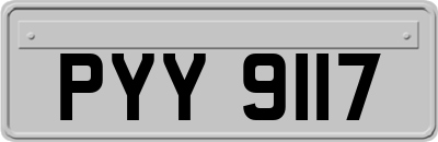 PYY9117