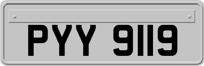 PYY9119