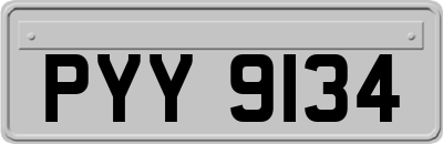 PYY9134