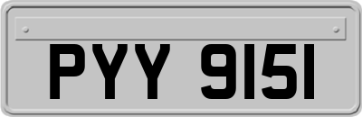 PYY9151